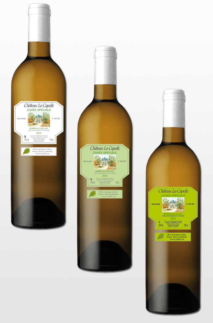 portofolio-vignoble-feyzeau2