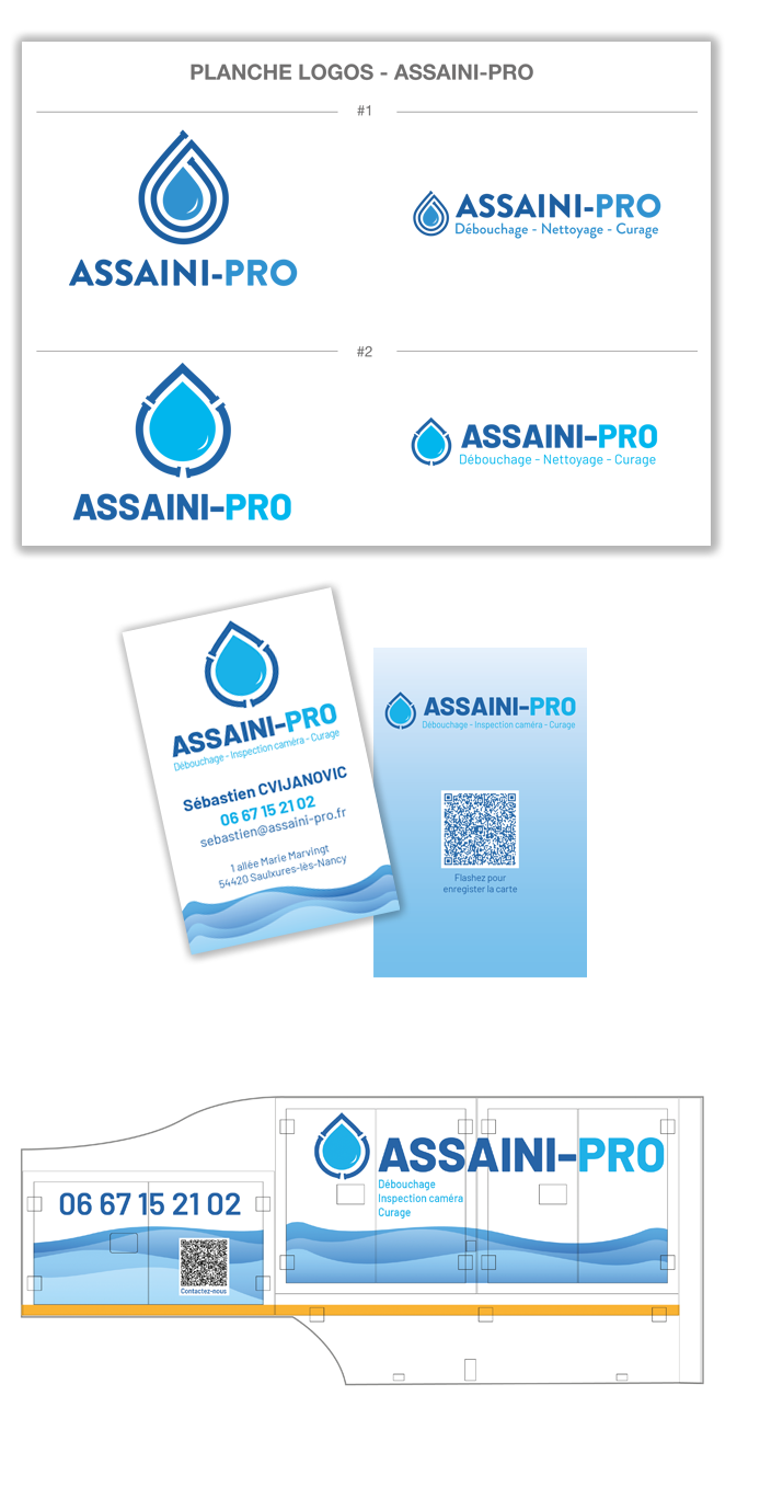 portofolio-assaini-pro